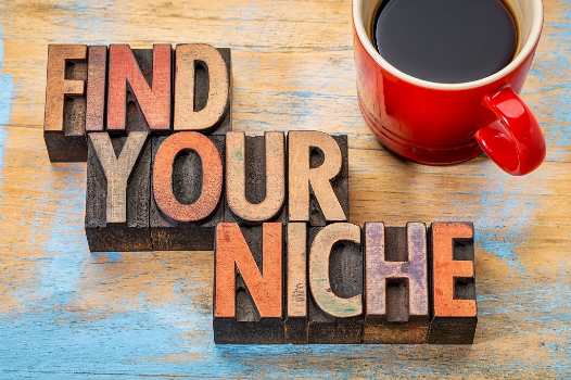 Pick The Right Niche For Your Business