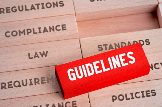 GUIDELINES written on a red colored wooden block
